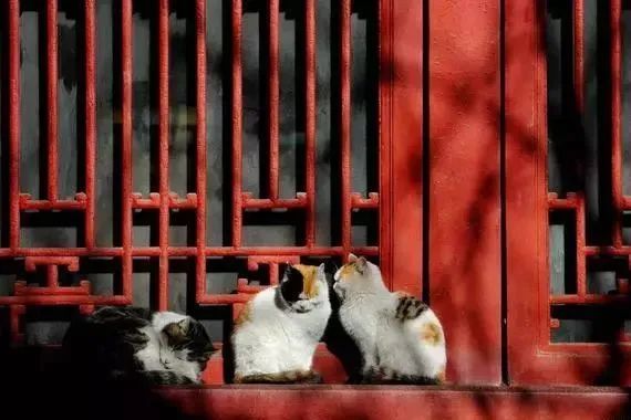 故宫游玩打卡攻略,故宫游玩攻略和注意事项