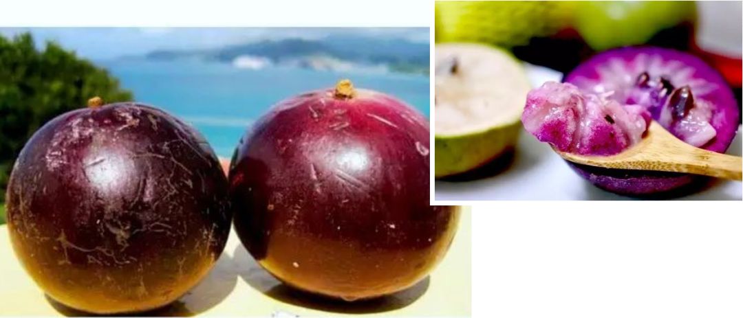 真的是活久见！长成这样居然能吃？