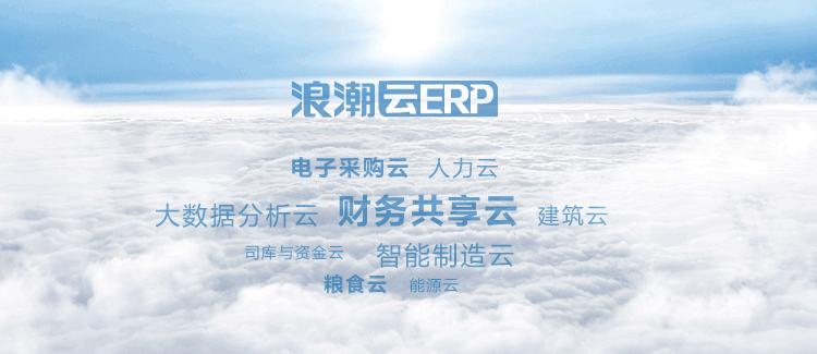 浪潮财务软件增加供应商,浪潮财务软件是哪家公司的