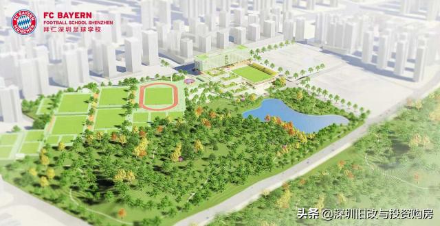 深中泥岗校区,深科大和南科大