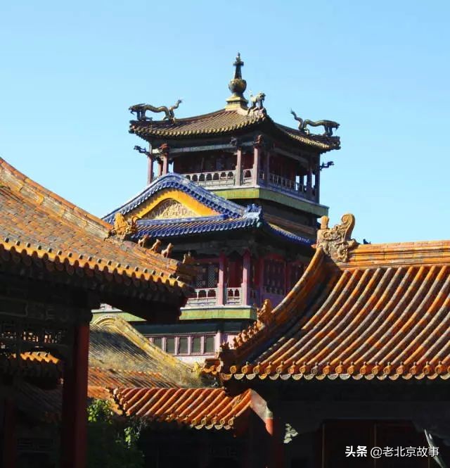 故宫成了动物园,故宫北京动物园