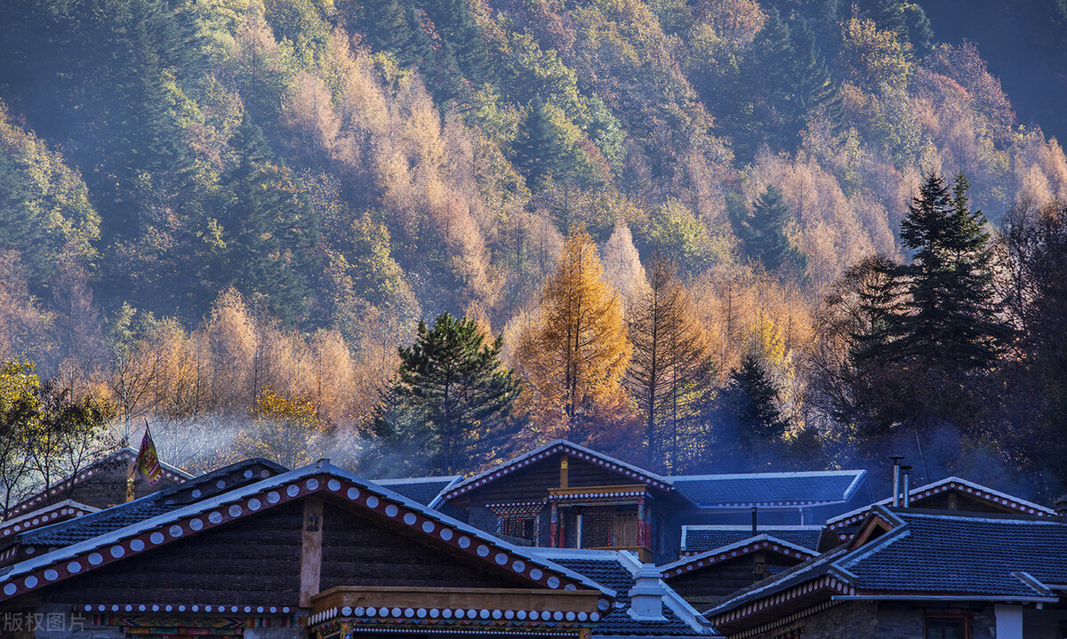 川西看彩林,川西自驾游看彩林攻略