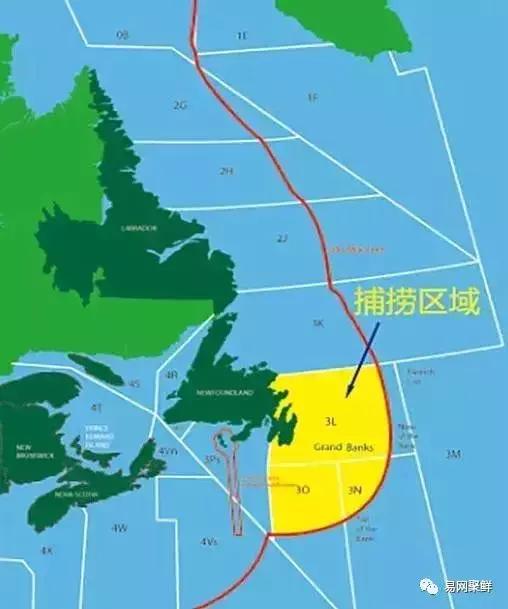 碟中鲽团购,鲽鱼推荐