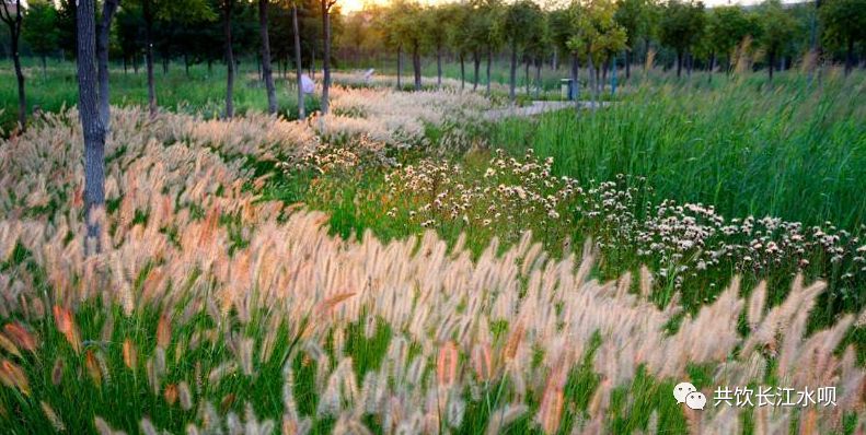 铁路八大设计院,铁路各个设计院特点