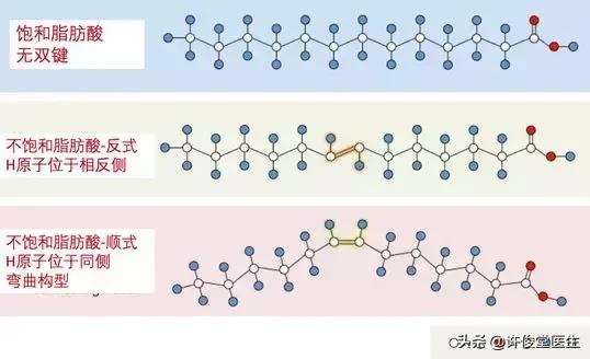 人们吃的脂肪有哪些,可以吃哪些优质脂肪