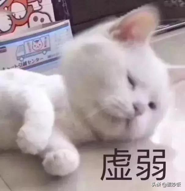 背背佳好记星小罐茶完整版,背背佳到小罐茶的商业逻辑