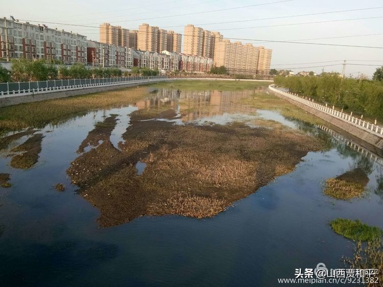 清风徐来水波不兴边款,清风徐来水波不兴图