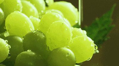 早安辽宁营口,早安营口的作品