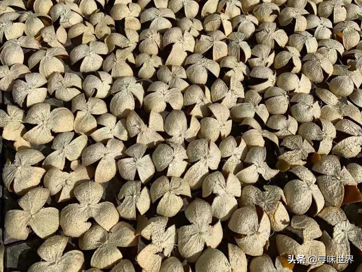 翻晒陈皮最佳方法,陈皮怎样蒸晒好