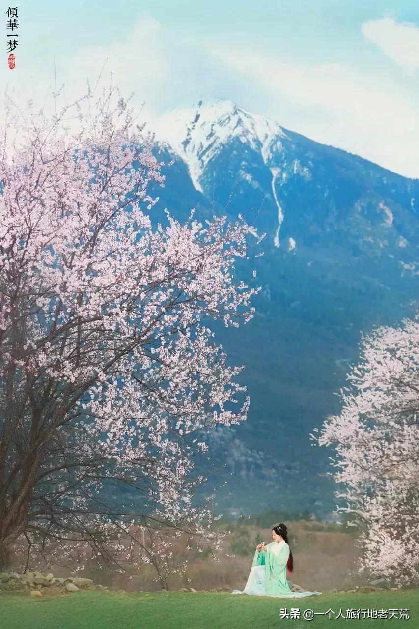 国内最适合一个人旅行的20个地方！去过才懂得什么是自由