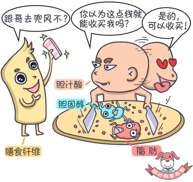 多吃膳食纤维能瘦吗,高膳食纤维对减脂有帮助吗