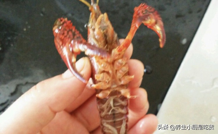 如何洗小龙虾才洗得干净,怎么样洗小龙虾才能洗得干净