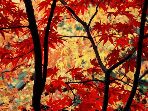 肖战为您代言的雅诗兰黛#333试色！一小时带货4000万