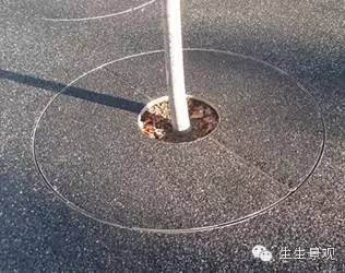 微景观材料的作用,微景观生态材料