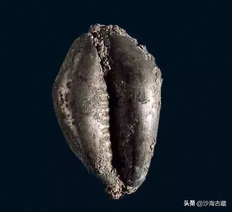 银质古钱币价格图片,金质古钱币