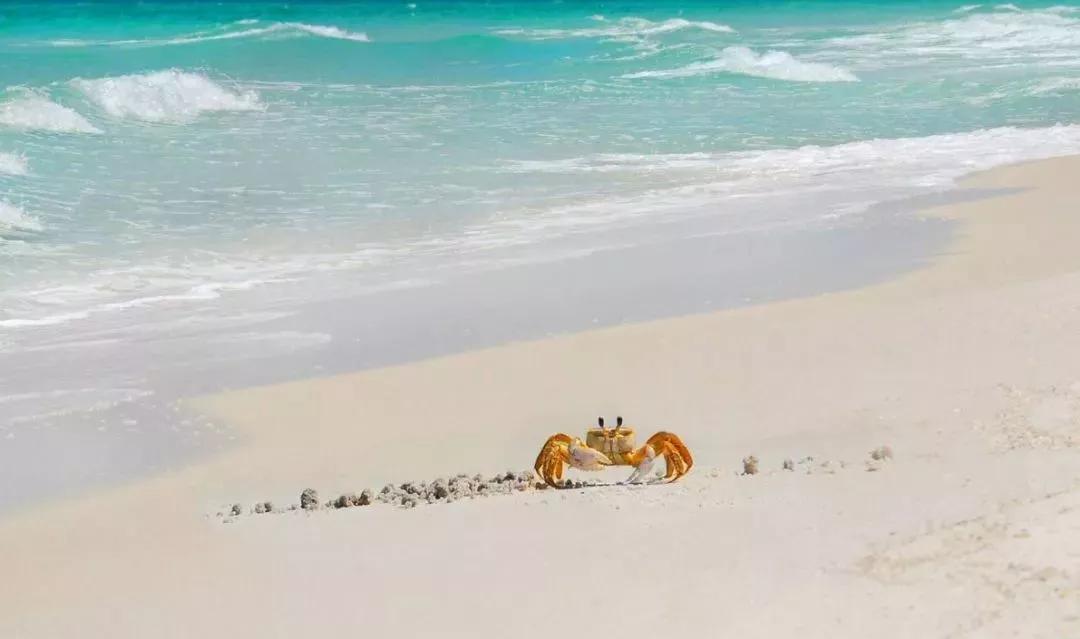 桔钓沙海滩游玩项目,桔钓沙旅游区