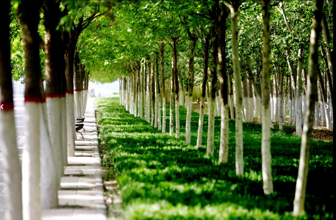 河南最强医科大学：实力不输郑大医学院，录取分数却超过河大？