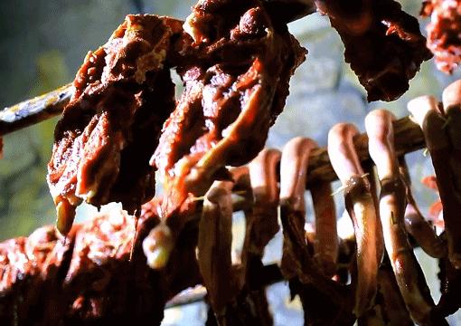 哼，又想「骗」我去*疆新**旅游！