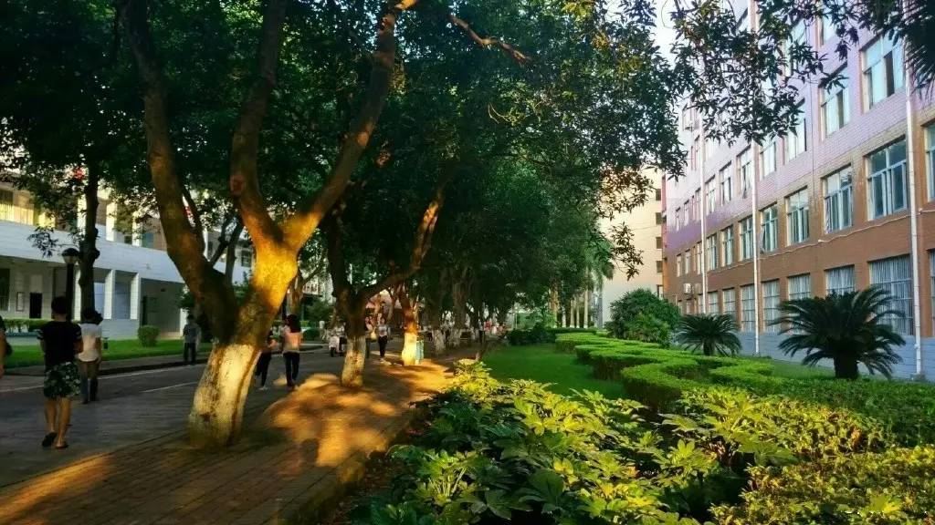 2019年广西职业技术学院排名,广西职业技术学院最新排名