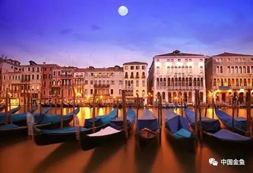 在英国买金鱼,欧洲买金鱼