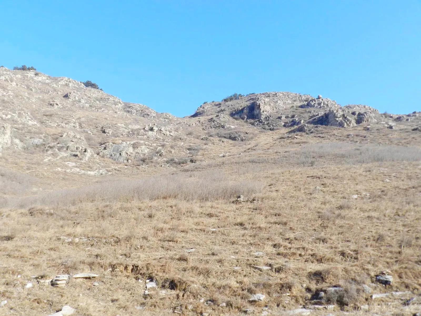 在山里迷路遇到狐狸,在山里迷路遇到了好漂亮的小姑娘