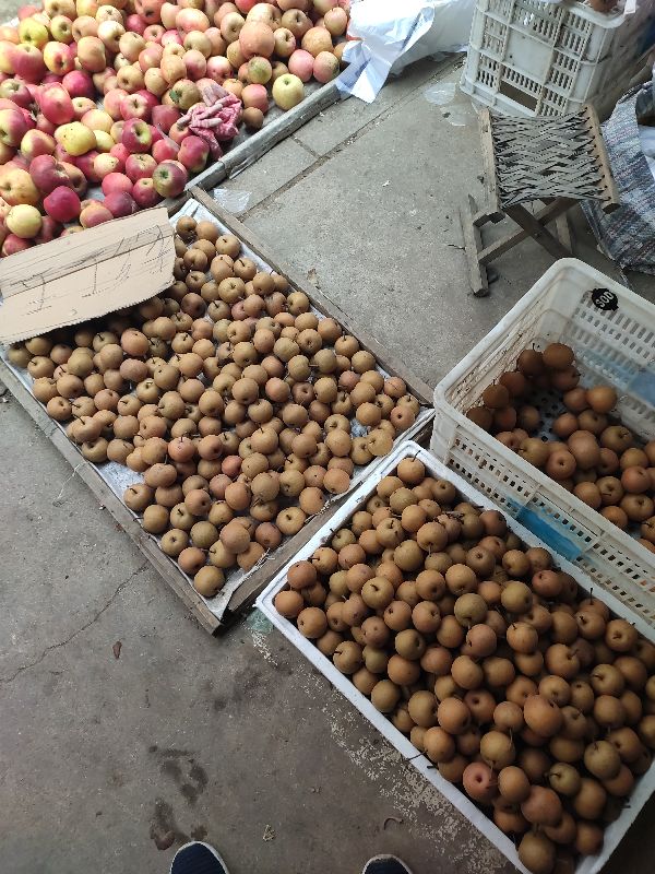 庄河最大早市,庄河南早市