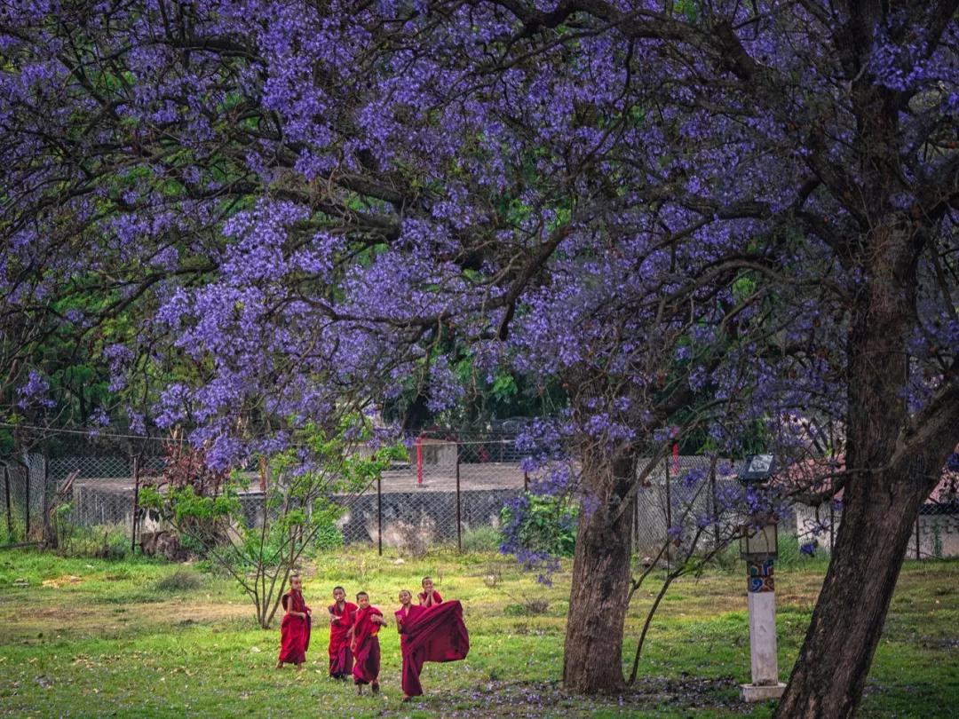 中国至今没被认全的20个邻居，个个身怀宝藏，你知道几个？