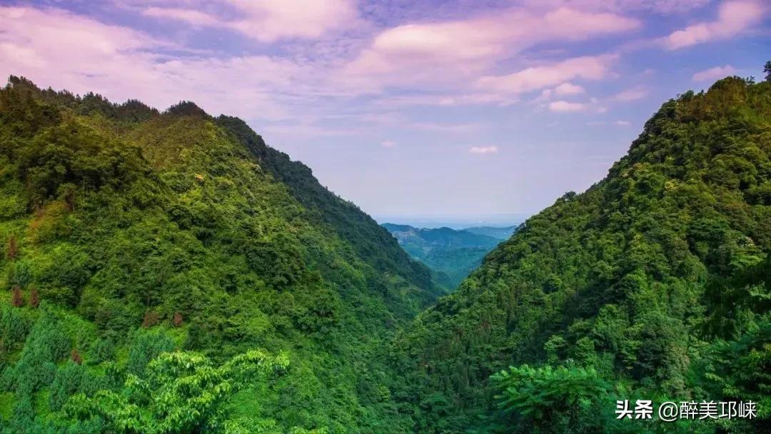 为什么有的人投资眼光很准,为什么越来越多的资本想投资酱酒