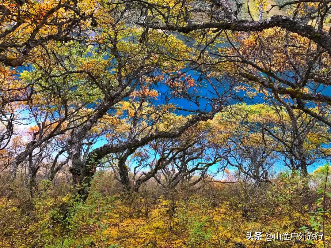 步步惊心的一天,步步惊心12剧情