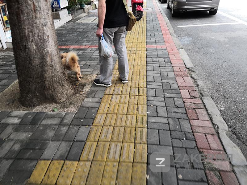 文明养犬到底有没有可行性,文明养犬规定有哪些