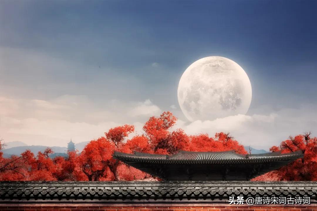 秋天最美的月光,秋天不可错过的枫叶