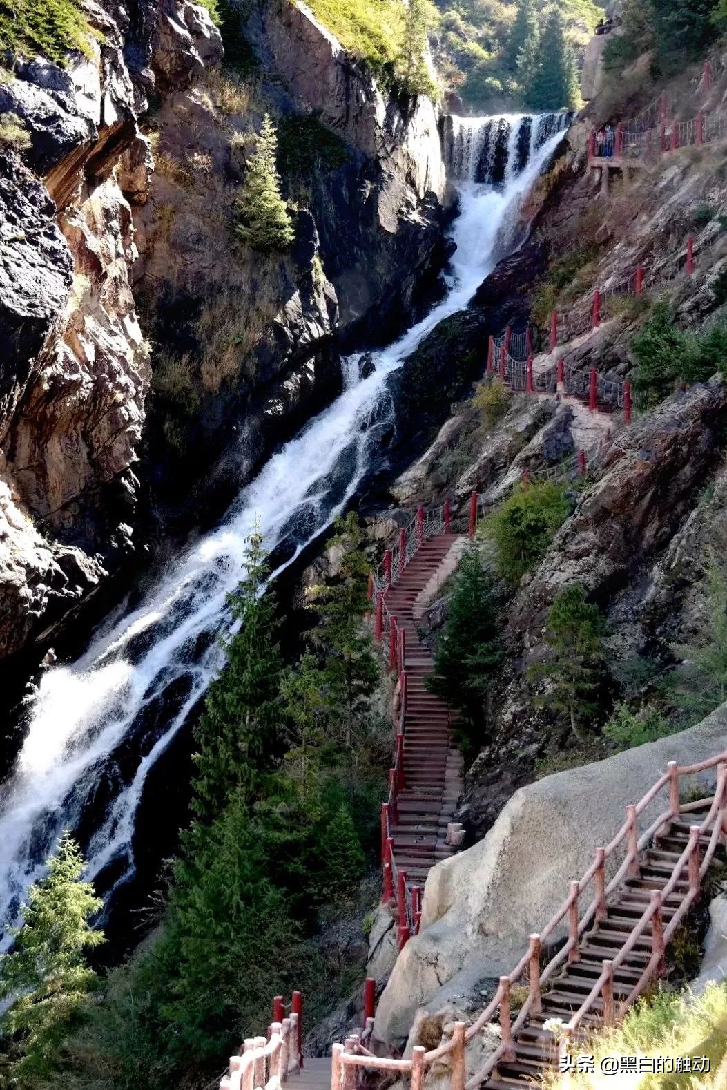 都说新疆好去新疆发展可靠么,都说新疆好地方