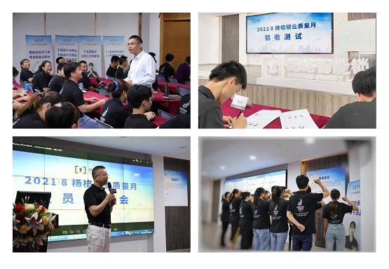 扬格智能锁,杨格智能锁在行业中怎么样