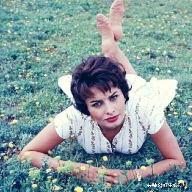 1957年，美丽的索菲娅·罗兰意大利永远的女神！