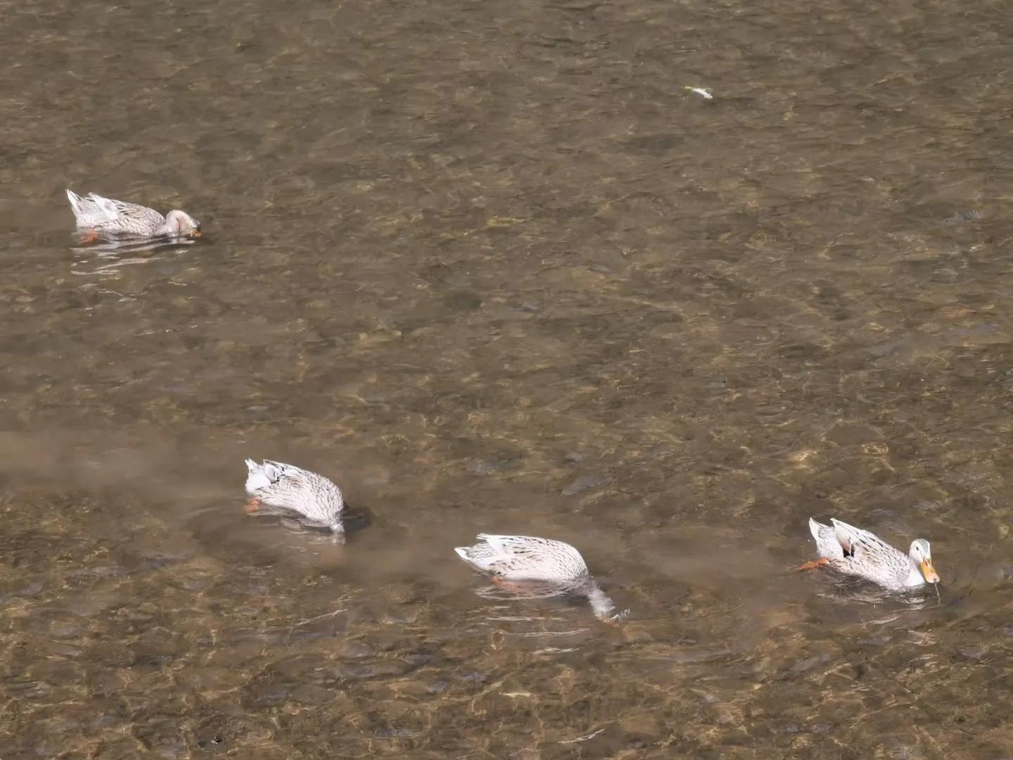 最难忘的1元钱,难忘的五块钱