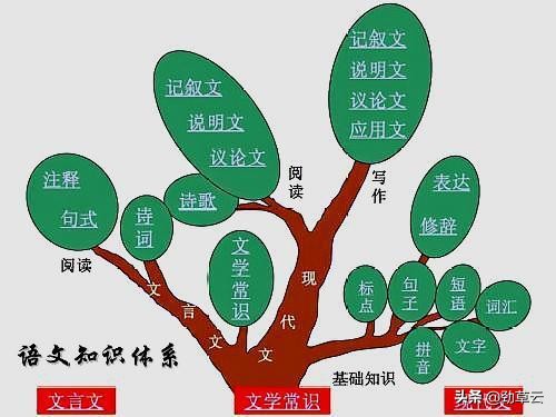 高考状元逆袭知识点总结,语文146分状元答题卷书写