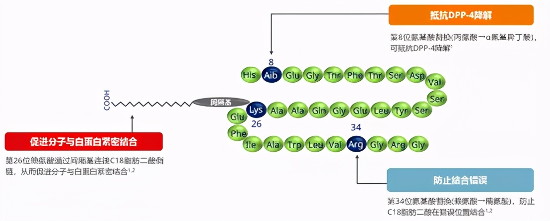 诺和诺德糖尿病2型最新药,诺和诺德中国上市新药