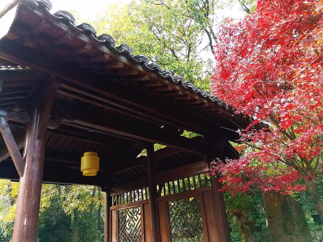 安缦法云民宿,法云安缦让心安静