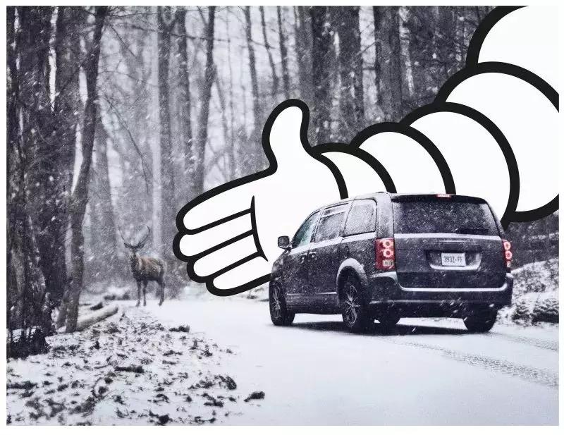 创意行李箱平面广告年轻人的,云南白药奶茶牙膏创意平面广告