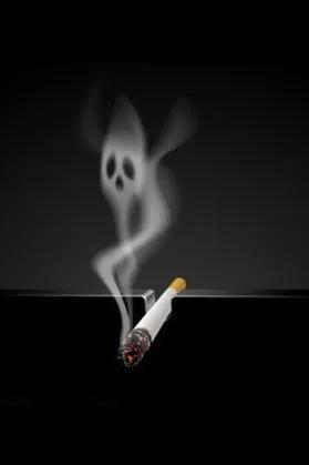 草烟是多久发明出来的,草烟历史