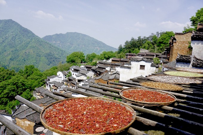 婺源旅游住宿攻略自由行,婺源旅游交通工具攻略