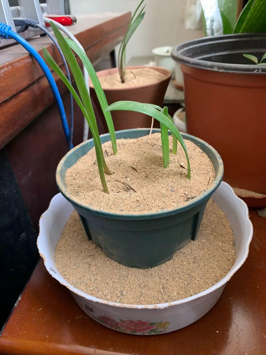 抓一把沙子,抓一把沙子让它飞起来