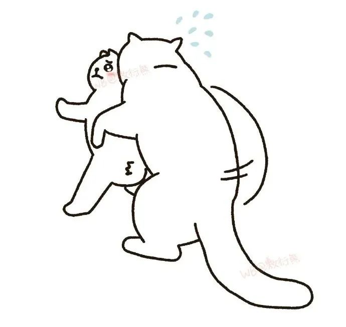 猫是只好猫，但被网友这么一弄…哈哈哈哈哈没脸见人了