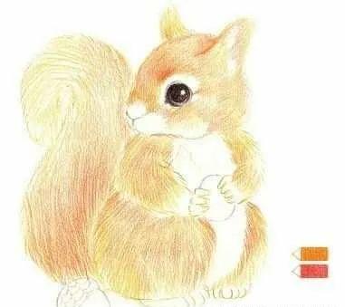 彩铅可爱的小松鼠,彩铅画可爱动物飞鼠