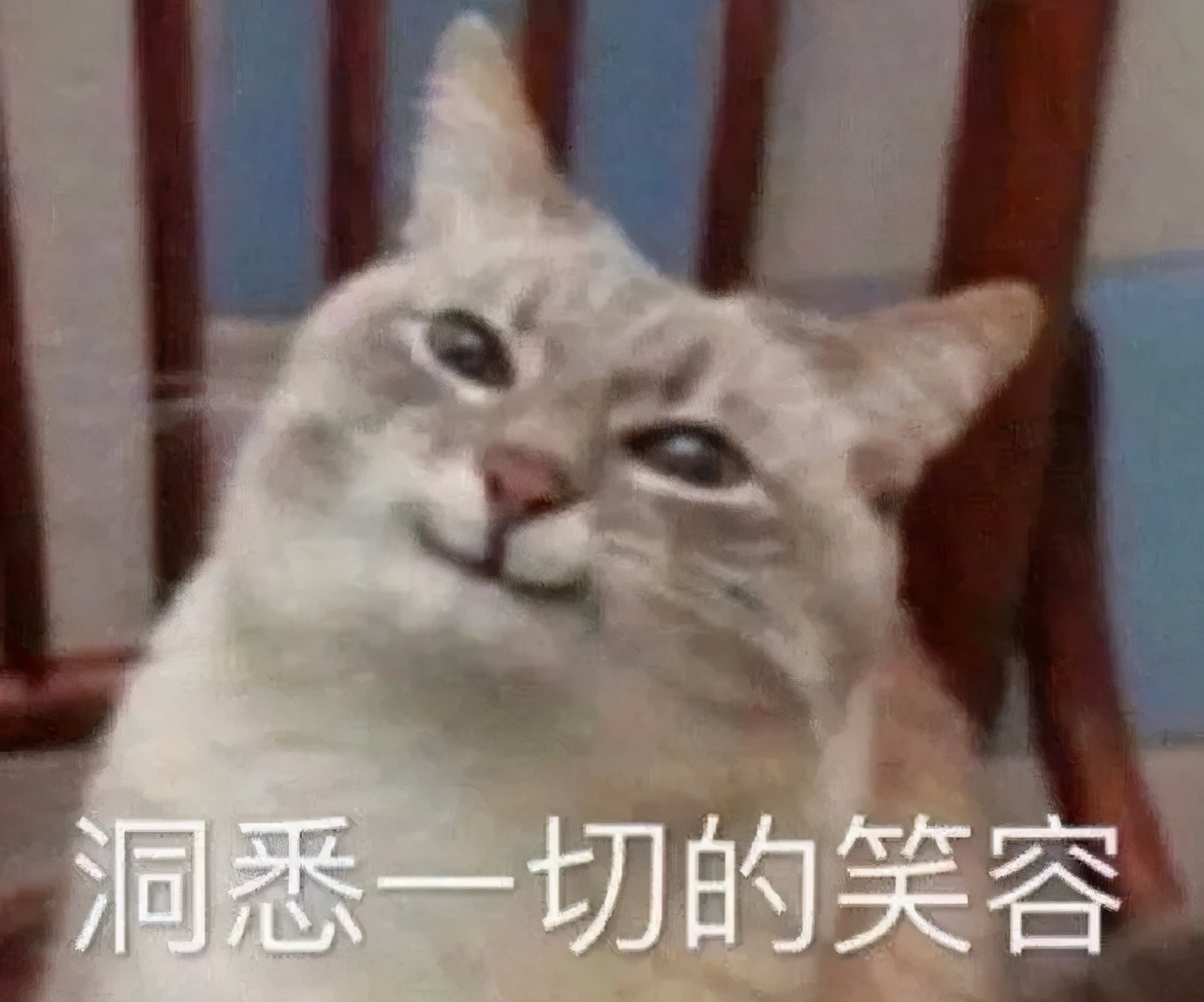 缺考需要停考一年吗,缺考会被记录吗