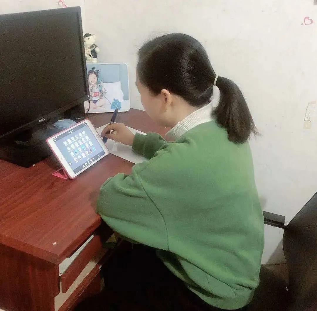 上海小学教育热点,浦东幼升小学校有哪些政策