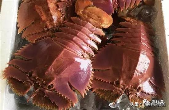 好吃不贵的海鲜种类有哪些,最好吃又最常见海鲜有几种