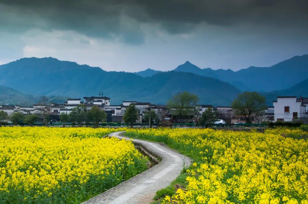 安徽春天美丽的视频,安徽美丽的春天