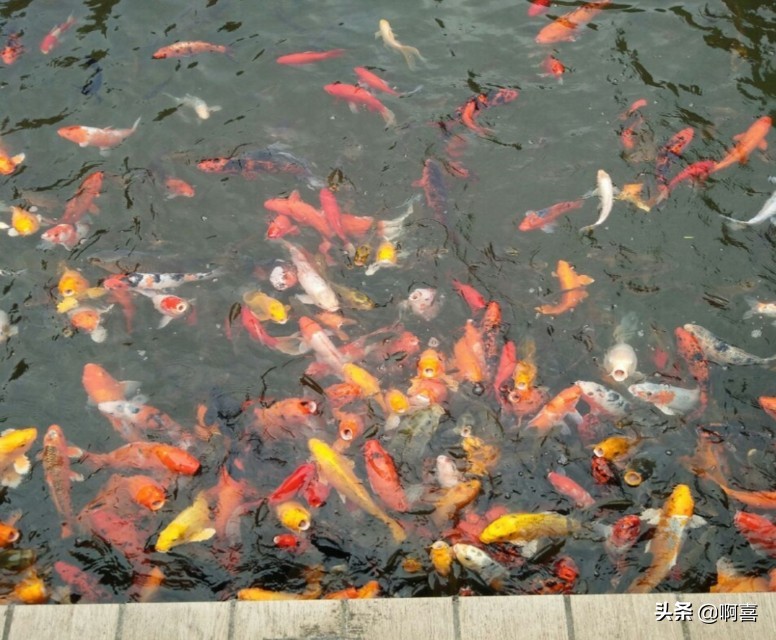 桂林风景区一日游景点大全,桂林国家森林公园游玩攻略路线