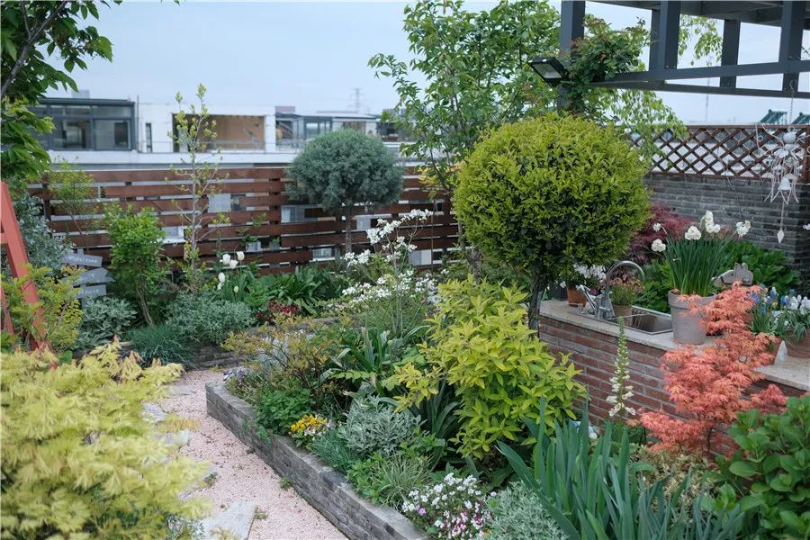 怎样打造露台花园,简单露台花园打造方法